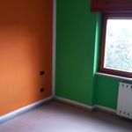 Rent 3 bedroom apartment of 130 m² in Frosinone