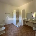 Rent 4 bedroom house of 130 m² in Castelfiorentino