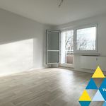 Rent 3 bedroom apartment of 57 m² in Chemnitz