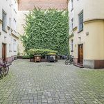 Rent 3 bedroom apartment of 85 m² in Poznań