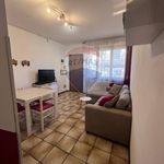 Affitto 4 camera appartamento di 55 m² in Viareggio