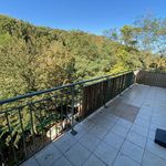 Rent 4 bedroom apartment of 77 m² in sisteron