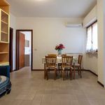 Affitto 2 camera appartamento di 50 m² in Camaiore