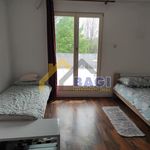 Rent 5 bedroom house of 120 m² in Pisarovina