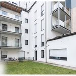 Rent 2 bedroom apartment of 49 m² in Schönfeld