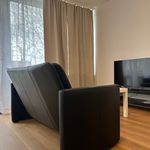 Rent 2 bedroom apartment of 56 m² in Marl