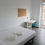 Alquilar 9 dormitorio apartamento en Alicante