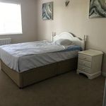 Rent 1 bedroom house in Durham
