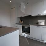 Rent 2 bedroom apartment of 135 m² in Ixelles
