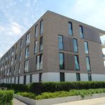 Rent 2 bedroom apartment of 106 m² in Brugge