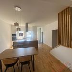 Rent 1 bedroom house of 150 m² in Ostrava