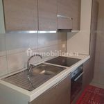 Rent 1 bedroom apartment of 38 m² in Rozzano