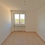 Rent 4 bedroom apartment in Wittenbach