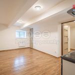 Rent 2 bedroom apartment of 40 m² in Slaný
