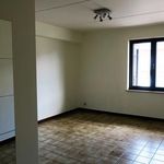  appartement avec 1 chambre(s) en location à Liedekerke
