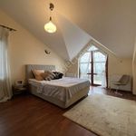 Rent 6 bedroom house of 300 m² in Kocaeli