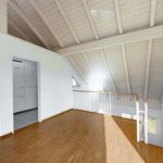 Rent 4 bedroom house of 91 m² in Reinach