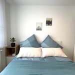 Rent 3 bedroom apartment of 38 m² in Stuttgart