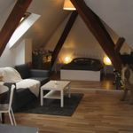 Rent 1 bedroom apartment of 45 m² in Guebwiller