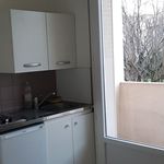 Rent 1 bedroom apartment of 28 m² in Seyssinet-Pariset