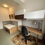 Rent 3 bedroom apartment of 100 m² in Číhošť