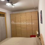 Affitto 3 camera appartamento di 65 m² in Pinzolo