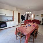 Rent 3 bedroom apartment of 60 m² in Mascali