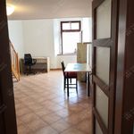 Rent 1 bedroom apartment in Hradec Králové