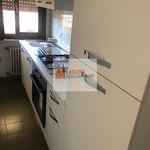 Affitto 1 camera appartamento di 70 m² in Badia Polesine