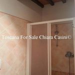Rent 2 bedroom apartment of 50 m² in Lucignano