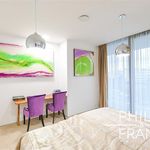 Rent 2 bedroom apartment of 111 m² in Praha