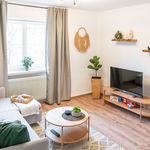 Fashionable flat in the center of Freudenstadt