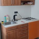 Rent 1 bedroom apartment of 39 m² in Vratimov
