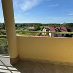 Rent 2 bedroom apartment of 50 m² in pabianice