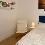 Rent 1 bedroom apartment of 40 m² in Koblenz