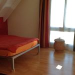 Rent 2 bedroom apartment in Stäfa
