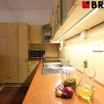Rent 1 bedroom apartment of 45 m² in Brno