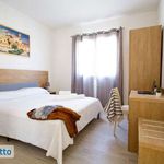 Rent 2 bedroom apartment of 55 m² in Isola delle Femmine