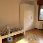 Affitto 3 camera appartamento di 120 m² in Padova