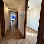 Rent 3 bedroom apartment of 82 m² in Roma