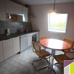 Rent 2 bedroom apartment of 53 m² in Colmar