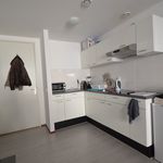 Rent 1 bedroom apartment of 40 m² in Delft