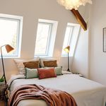 Rent 2 bedroom apartment of 49 m² in Berlin
