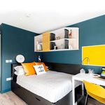 Rent 1 bedroom student apartment in Cork