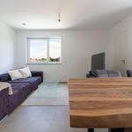 Rent 3 bedroom apartment of 79 m² in Trier