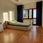 Rent 1 bedroom house of 487 m² in Mierzyn