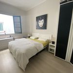 Rent 4 bedroom apartment in Vitoria