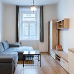Rent 1 bedroom apartment in Praha 2