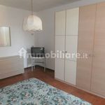 Rent 2 bedroom apartment of 65 m² in Codogno