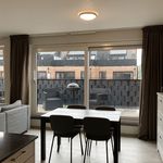 Rent 2 bedroom apartment in ZOERSEL